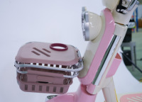 2025 nouveau modèle Design vélo électrique pour femmes Fashional Scooter électrique mignon Bicicleta Electrica vélo électrique pour adultes