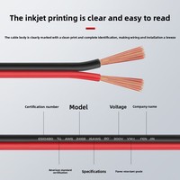 Kabel Kawat Elektronik PVC 300V Dua Warna Merah-Hitam yang Dapat Disesuaikan, Paralel Dua Baris untuk Lampu Strip LED Iklan