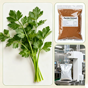 Yüksek kaliteli maydanoz özü tozu 10:1 20:1 yüksek kaliteli maydanoz özü tozu - Product Image 3