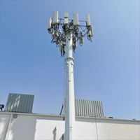 Tour de communication monopôle en acier galvanisé à facettes octogonales, à tube unique, double niveau, pour zones commerciales 5G, 35m, résistance au vent
