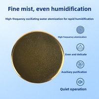 Accessoires d'origine pour pompe à eau pour ventilateur sans pales Dyson, humidificateur d'air, plaque d'atomisation, purificateur, comprimés atomisateurs
