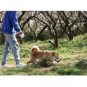 Petstar – bande rétractable <span class=keywords><strong>Auto</strong></span>, laisse de marche pour <span class=keywords><strong>chien</strong></span> de 5M de Long - Product Image 3