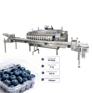Machine de pesage, de remplissage et d'emballage entièrement automatique pour baies de myrtille avec distributeur de boîtes - Product Image 3