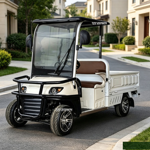 Carrito de Golf Eléctrico de Alta Calidad con 2+2 Asientos, Color Personalizado, Batería de 60V, para Uso en Parques Turísticos - Product Image 1