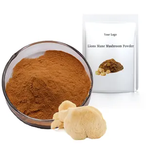 Organic Lions Mane Mushroom Extract Hericium Erinaceus Mushroom Powder