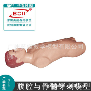 Modèle d'entraînement à la ponction de la moelle osseuse et à la paracentèse abdominale ; modèle de ponction de la moelle osseuse ; modèle de ponction manipulatoire pour adultes. - Product Image 1