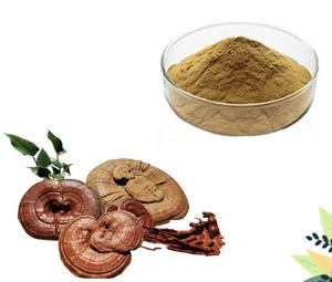 Tinh khiết tự nhiên hữu cơ linh chi Nấm <span class=keywords><strong>Ganoderma</strong></span> lucidum chiết xuất bột polysaccharides - Product Image 2