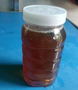 Tinh Khiết Tự Nhiên Bạch Đàn Mật Ong Cao Cấp Hữu Cơ Số Lượng Lớn Đóng Gói <span class=keywords><strong>1</strong></span> Kg Tùy Chỉnh Pet Jar Bạch Đàn Mật Ong 100% Tự Nhiên Bán Buôn - Product Image 3