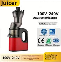 RVS 200W Professionele Slow Juicer met Grote Vulopening Elektrische Huishoudelijke Machine