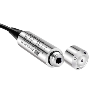 Cảm Biến Đo Mực Nước Chìm Bằng Thép Không Gỉ Đầu Ra 4-20mA Phạm Vi 2M Đầu Dò Cho Máy Bơm Giếng Sâu Của Bể Nước - Product Image 5