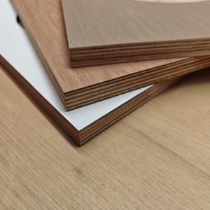 Panneaux de <span class=keywords><strong>contreplaqué</strong></span> marin ENF E0 de qualité environnementale en eucalyptus stratifié, imperméables, WBP - Product Image 1