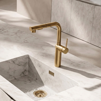 Robinet de cuisine flexible en acier inoxydable 304, finition or brossé, avec jet cascade et pulvérisation, mitigeur eau chaude et froide