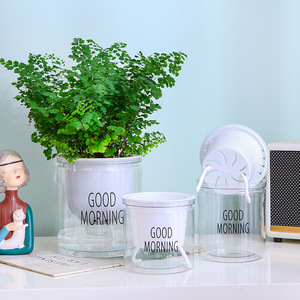Maceta hidropónica transparente de plástico con absorción automática de agua para plantas verdes de escritorio, jardinería en casa - Product Image 1