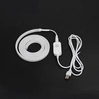 Bande lumineuse LED néon alimentée par batterie 5v, capteur de mouvement humain intelligent, flexible, alimentation USB, bande lumineuse LED néon