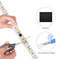 Bandes LED programmables à couleurs complètes 24V 1934 SMD5050 3000K 4500K 6000K avec circuit intégré externe pour bars et KTV