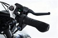2025 entrepôt expédition 24 heures 750W gros pneu vélo cargo électrique cadre en acier 45KM gamme 750W vélo de montagne électrique de ville