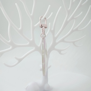 Hot bán Acrylic <span class=keywords><strong>CD</strong></span> Key Charms hấp dẫn Bao bì & Sản phẩm in ấn - Product Image 6