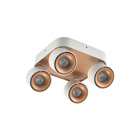Spot de plafond à angle réglable en aluminium Spot pliant à têtes multiples COB Downlight pliant