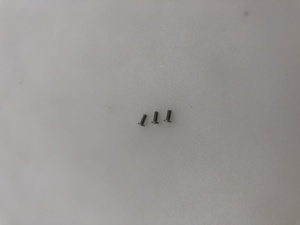 Sản xuất tại Việt Nam Metric thép không gỉ vít máy điện tử M1.4 - Product Image 6