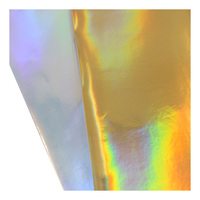 Cuir synthétique TPU en cuir PU à dégradé laser personnalisé directement de l'usine, tissu imperméable et élastique pour chaussures et sacs