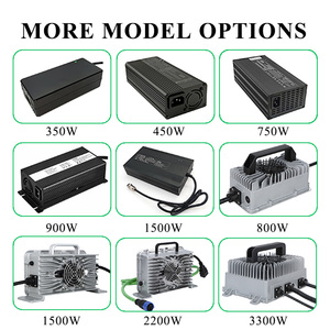 Cargador de Batería Portátil de Litio de <span class=keywords><strong>600</strong></span> Vatios, Lifo4, 220v, 28-32 Voltios CA, 110v, 60v, 48v, 60.8v, 57v, 12v CC a 48v, 20a, 18.25a, 20 amperios - Product Image 6