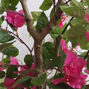 <span class=keywords><strong>Arbre</strong></span> artificiel de bougainvillier de haute qualité en gros, <span class=keywords><strong>arbre</strong></span> à fleurs artificiel en pot pour la décoration intérieure et extérieure de mariages, hôtels et maisons - Product Image 6
