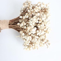 Bunga Susu Kecil Laris Manis, Buah Putih Kering Alami dari Pabrik Yunnan, Dekorasi DIY untuk Pernikahan, Festival, Pesta Rumah, dan Karangan Bunga