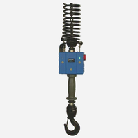 Palans électriques à fonction d'équilibrage avec fonction de localisation précise et fonctionnement intuitif 220V, compatibles avec les systèmes de grue légers