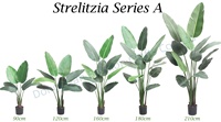 Plante artificielle unique Bossion, fausse banane, palmier du voyageur, feuilles en soie, 180 cm, Strelitzia