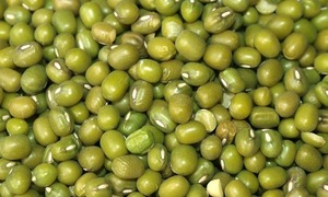 Compre Frijoles Mung Premium, Legumbres Verdes Naturales Enteras, Nutritivas, de Sabor Suave, Grado Alimenticio, Suministro a Granel para Exportación - Product Image 3