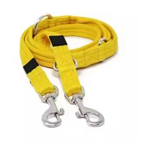 Laisse pour chien en nylon multifonctionnelle réglable avec logo personnalisé, durable et légère, pour l'entraînement des chiens