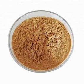 B.C.I, поставка, экстракт семян райских зерен, 10:1 20:1 20:1, экстракт Aframomum Melegueta - Product Image 2