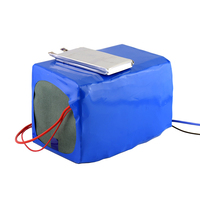 48 Volt Batteria Al Litio LiFePO4 Batteria 48 V 25Ah per Risciò