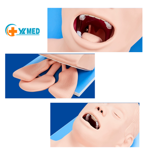 แบบจำลองฝึกใส่ท่อช่วยหายใจแบบอิเล็กทรอนิกส์ทำจาก PVC สำหรับนักศึกษาแพทย์และ<span class=keywords><strong>อาจารย์</strong></span> ได้รับการรับรองมาตรฐาน CE/ISO รับประกัน 2 ปี - Product Image 2