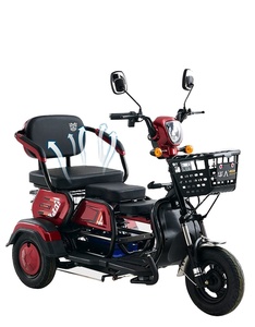 Oferta de Muestra: Triciclo Eléctrico para Adultos con Asiento, 3 Ruedas, Pantalla LED, 60V, 600W, 30-50km/h, Scooter Motocicleta - Product Image 6