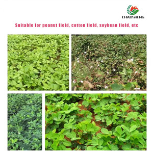 Herbicide Phenoxy 2,4-D CAS 94-75-7 <span class=keywords><strong>Systémique</strong></span> Sélectif pour le Contrôle des Plantes à Feuilles Larges des Cultures Céréalières - Product Image 3