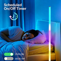 Lampe de sol intelligente RGBIC, blanc chaud et froid, lampe d'angle, synchronisation musicale, modes de scène, lampe de sol LED intelligente pour chambre à coucher, salon