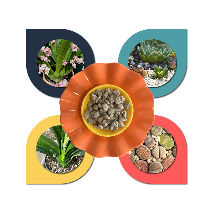 High Quality Pumice Light Stone Planting