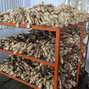 محصول جديد الزنجبيل الصيني المجفف بالهواء في المبيعات الساخنة - Product Image 5