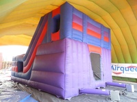 Toboggan gonflable Combo Rock Climb et toboggan avec videur mural pour enfants