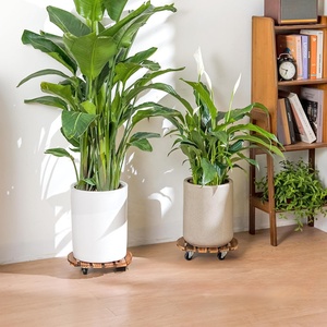 <span class=keywords><strong>Support</strong></span> à <span class=keywords><strong>plantes</strong></span> en bois de 14 pouces avec roulettes, <span class=keywords><strong>support</strong></span> à <span class=keywords><strong>plantes</strong></span> <span class=keywords><strong>roulant</strong></span> <span class=keywords><strong>pour</strong></span> intérieur et extérieur, <span class=keywords><strong>support</strong></span> à <span class=keywords><strong>plantes</strong></span> en bois robuste <span class=keywords><strong>pour</strong></span> pot de fleurs - Product Image 3