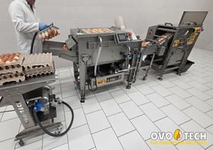 เครื่องแยกไข่ สามารถแยกเปลือกไข่ออกจากของเหลวไข่ได้อย่างอัตโนมัติ สามารถผลิตได้ 3,000-6,500 ฟองต่อชั่วโมง - Product Image 2