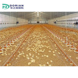 Tùy Chỉnh Thiết Kế Kết Cấu Thép Lớp Gà Gia Cầm Nhà Trang Trại Nhà Kho Cho 1000 Lớp Gà - Product Image 6