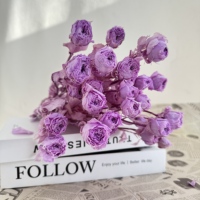 Lovebay Echte Konservierte Rosen mit Mehreren Blüten, Boho-Stil, Dauerhafte Rosenköpfe und Zweige für Blumensträuße und Blumenwand-Dekoration