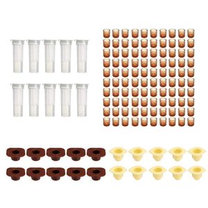 ชุดเลี้ยงผึ้งแบบมีช่องสำหรับเลี้ยงผึ้ง - Product Image 5
