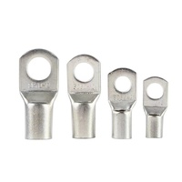Cosse de câble de Type SC en cuivre pur pour 16mm2 25mm2 35mm2 50mm2 95mm2 300mm2 connecteur de cosses de câble à sertir en cuivre étamé