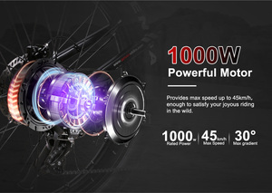 Bajo Moq personalizado 1000W Motor doble suspensión 26*4,0 neumático gordo 17Ah todo terreno Oem Ebike Bicicleta Eléctrica Bicicleta Electrica - Product Image 6