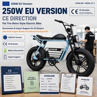 Vélo électrique 250W (version UE) avec pneus larges, style rétro, certifié CE, avec documents de batterie et support de documents pour les importateurs