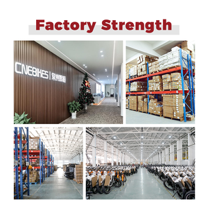 OEM tùy chỉnh có thể gập lại xe đạp điện hỗ trợ Kit 18V 10AH pin có thể tháo rời - Product Image 4