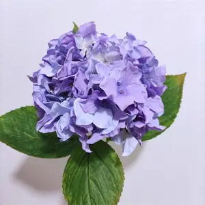 Neue Design künstliche Seide Blume künstliche Seide Blume Hortensie dekorative Blume für Hochzeit